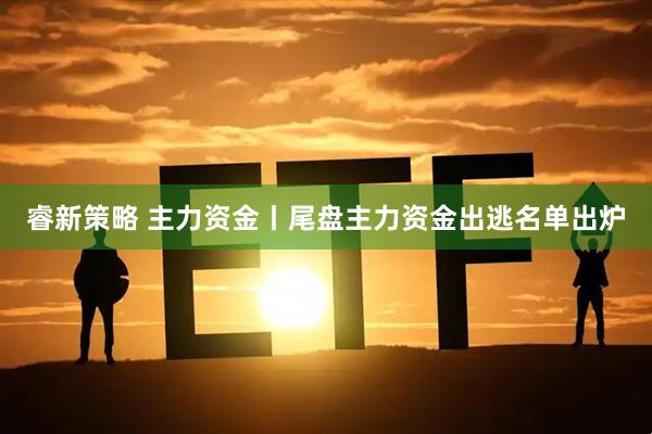 睿新策略 主力资金丨尾盘主力资金出逃名单出炉